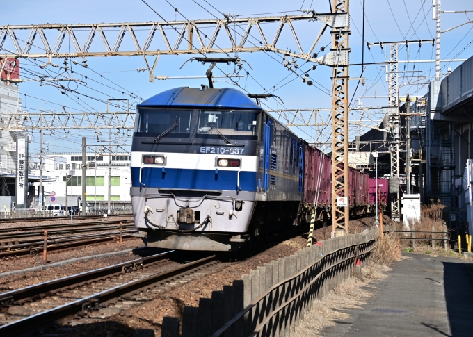 JR貨物 EF210形 EF210-337 鉄道フォト・写真 by m433さん 笠寺駅：2023年02月17日10時ごろ