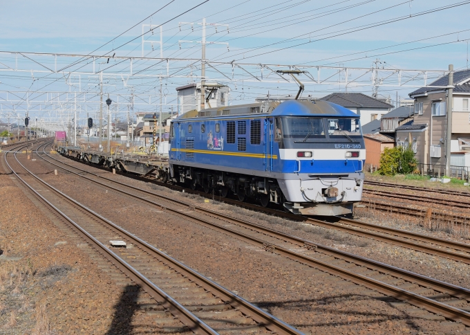 JR貨物 EF210形 EF210-340 鉄道フォト・写真 by m433さん ：2023年12月27日10時ごろ
