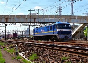 JR貨物 EF210形 EF210-350 鉄道フォト・写真 by m433さん 笠寺駅：2023年05月12日10時ごろ