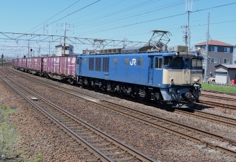 JR貨物 EF64形電気機関車 EF64 1037 鉄道フォト・写真 by m433さん ：2024年04月25日13時ごろ