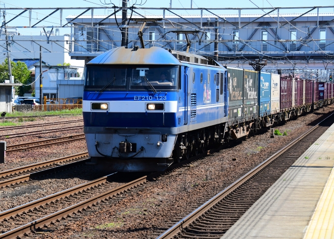 JR貨物 EF210形 EF210-123 鉄道フォト・写真 by m433さん ：2024年04月25日13時ごろ