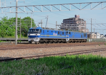 JR貨物 EF210形 EF210-319 鉄道フォト・写真 by m433さん ：2024年04月26日07時ごろ