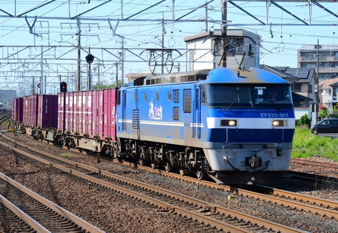 JR貨物 EF210形 EF210-901 鉄道フォト・写真 by m433さん ：2024年04月25日15時ごろ