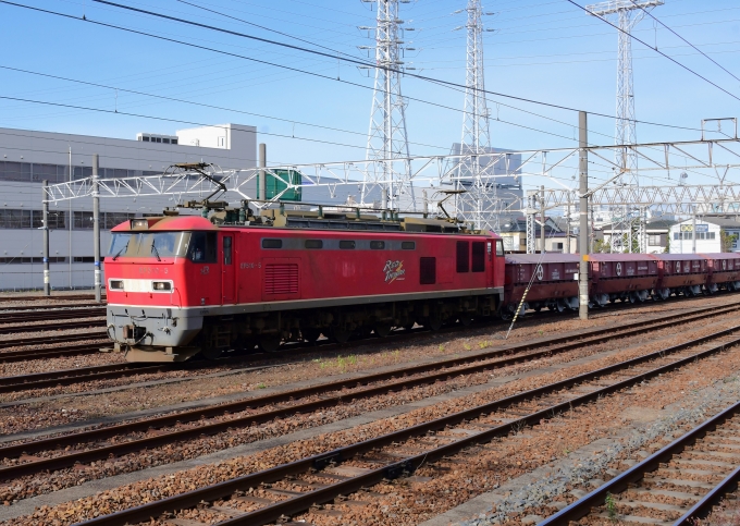 JR貨物 EF510形 EF510-5 鉄道フォト・写真 by m433さん 笠寺駅：2023年12月19日10時ごろ