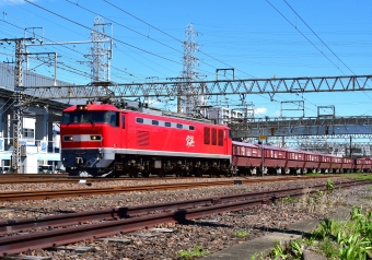 JR貨物 EF510形 EF510-6 鉄道フォト・写真 by m433さん 笠寺駅：2022年06月07日14時ごろ