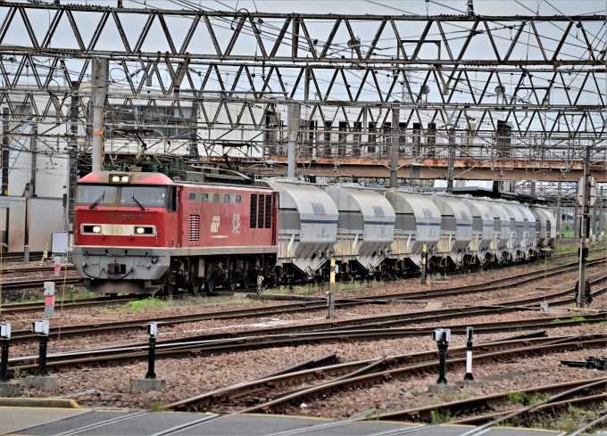 JR貨物 EF510形 EF510-7 鉄道フォト・写真 by m433さん 笠寺駅：2021年05月28日16時ごろ