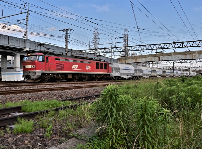 JR貨物 EF510形 EF510-8 鉄道フォト・写真 by m433さん 笠寺駅：2021年05月29日16時ごろ