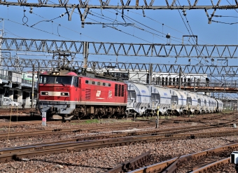 JR貨物 EF510形 EF510-15 鉄道フォト・写真 by m433さん 笠寺駅：2021年05月31日16時ごろ