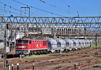 JR貨物 EF510形 EF510-16 鉄道フォト・写真 by m433さん 笠寺駅：2021年08月10日16時ごろ