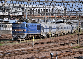 JR貨物 EF510形 EF510-504 鉄道フォト・写真 by m433さん 笠寺駅：2021年06月11日16時ごろ