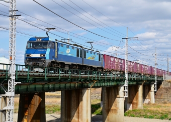 JR貨物 EH200形 EH200-20 鉄道フォト・写真 by m433さん ：2022年03月14日12時ごろ