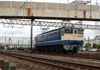 JR貨物 国鉄EF65形電気機関車 EF 65 2092 鉄道フォト・写真 by m433さん 笠寺駅：2024年06月24日10時ごろ