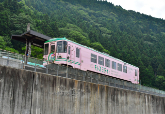 樽見鉄道 樽見鉄道 1994年4月10日 - かわゆの撮り鉄写真館