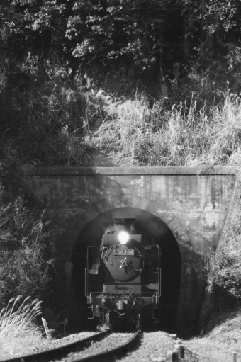 国鉄C58形蒸気機関車 284 鉄道フォト・写真 by apphgさん 天竜二俣駅：1967年01月15日00時ごろ