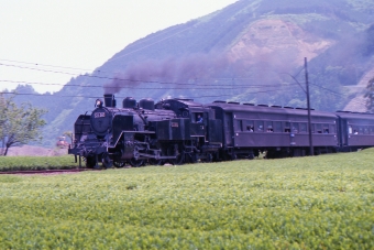 C11 312 鉄道フォト・写真