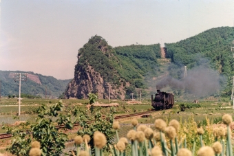 国鉄C56形蒸気機関車 150 鉄道フォト・写真 by apphgさん 高岩駅 (長野県)：1972年06月11日00時ごろ