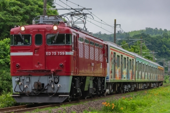 JR東日本 国鉄ED75形電気機関車 鉄道フォト・写真 by Tomo-Papaさん 松川駅：2021年07月08日00時ごろ