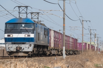 JR貨物 EF210形 EF210-15 鉄道フォト・写真 by Tomo-Papaさん 中庄駅：2019年02月26日00時ごろ
