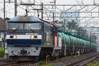 JR貨物 EF210形 EF210-161 鉄道フォト・写真 by Tomo-Papaさん 土呂駅：2016年08月15日00時ごろ