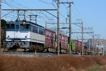 JR貨物 国鉄EF65形電気機関車 鉄道フォト・写真 by Tomo-Papaさん 蓮田駅：2014年12月22日00時ごろ