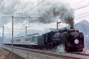 JR東日本 D51形 D51 498 鉄道フォト・写真 by Tomo-Papaさん 上牧駅 (群馬県)：2001年03月31日00時ごろ