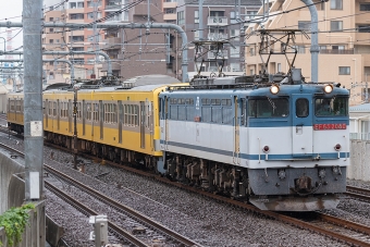 JR貨物 国鉄EF65形電気機関車 鉄道フォト・写真 by Tomo-Papaさん 国立駅：2020年07月05日00時ごろ