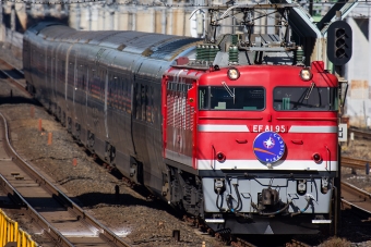 JR東日本 国鉄EF81形電気機関車 EF81-95 鉄道フォト・写真 by Tomo-Papaさん 赤羽駅：2016年12月31日10時ごろ