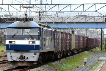 JR貨物 EF210形 EF210-151 鉄道フォト・写真 by Tomo-Papaさん 新川崎駅：2015年06月06日00時ごろ
