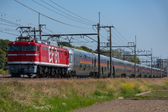 JR東日本 国鉄EF81形電気機関車 鉄道フォト・写真 by Tomo-Papaさん 蓮田駅：2021年04月11日00時ごろ