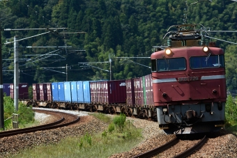 JR貨物 国鉄EF81形電気機関車 鉄道フォト・写真 by Tomo-Papaさん 倶利伽羅駅 (IRいしかわ)：2014年09月21日00時ごろ