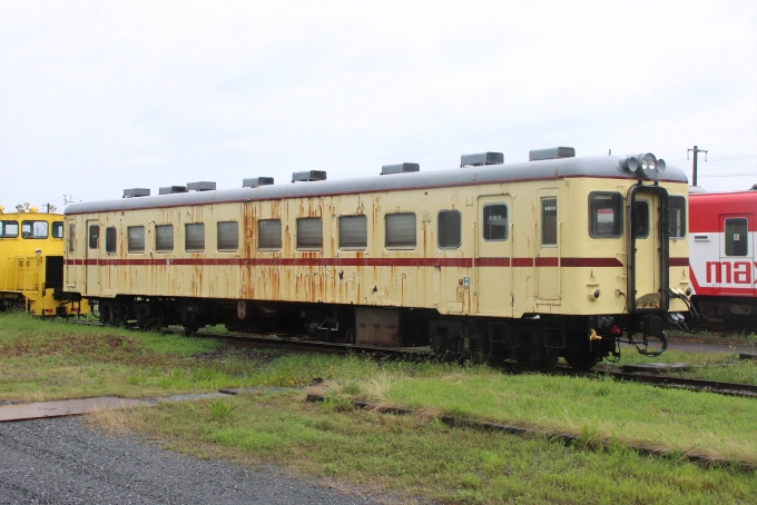 鉄道フォト・写真：平成筑豊鉄道  キハ2004 金田駅 鉄道フォト・写真 by すらんとのーずさん - 撮影日 2024/06/27 17:20