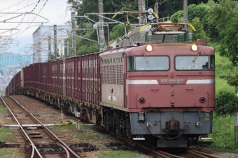 JR貨物 EF81-406 鉄道フォト・写真 by すらんとのーずさん 弥生が丘駅：2024年06月28日14時ごろ