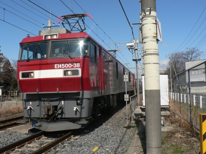 JR貨物 EH500形 EH500-38 鉄道フォト・写真 by HARUKI Nさん 蓮田駅：2024年02月24日12時ごろ