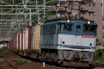 JR貨物 国鉄EF65形電気機関車 EF65-2117 鉄道フォト・写真 by nobu_32さん 真鶴駅：2021年07月22日06時ごろ