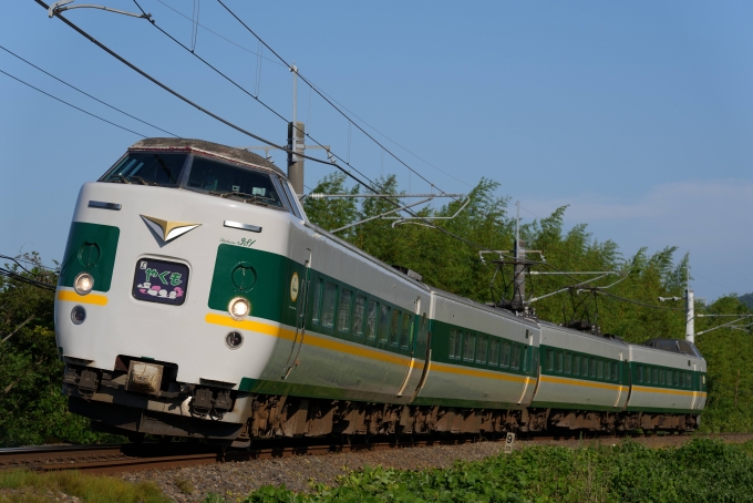 JR西日本 クロ381形 やくも(特急) クロ381-144 鉄道フォト・写真 by nobu_32さん ：2024年06月13日17時ごろ