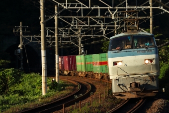 JR貨物 国鉄EF66形電気機関車 EF66-105 鉄道フォト・写真 by nobu_32さん 早川駅：2020年08月12日06時ごろ