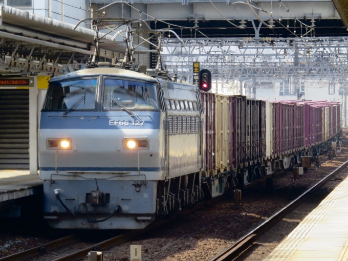 JR貨物 国鉄EF66形電気機関車 鉄道フォト・写真 by ｻﾝﾁｮﾝﾁｮﾝ311-3さん 枇杷島駅 (JR)：2024年04月14日13時ごろ