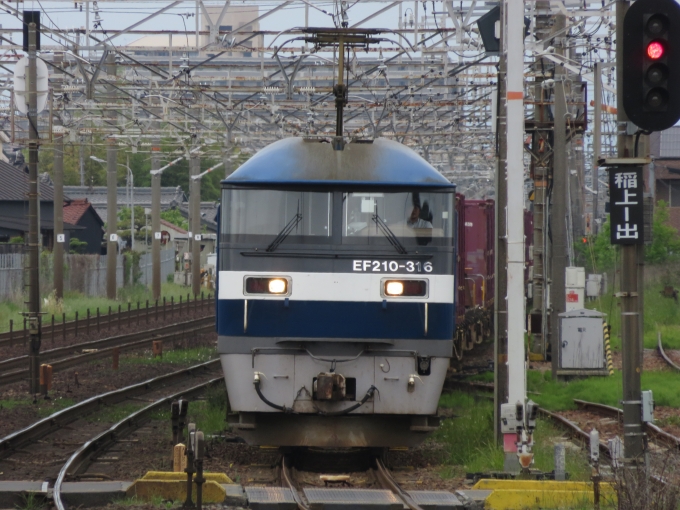 JR貨物 EF210形 EF210-316 鉄道フォト・写真 by ｻﾝﾁｮﾝﾁｮﾝ311-3さん 清洲駅：2024年05月19日15時ごろ