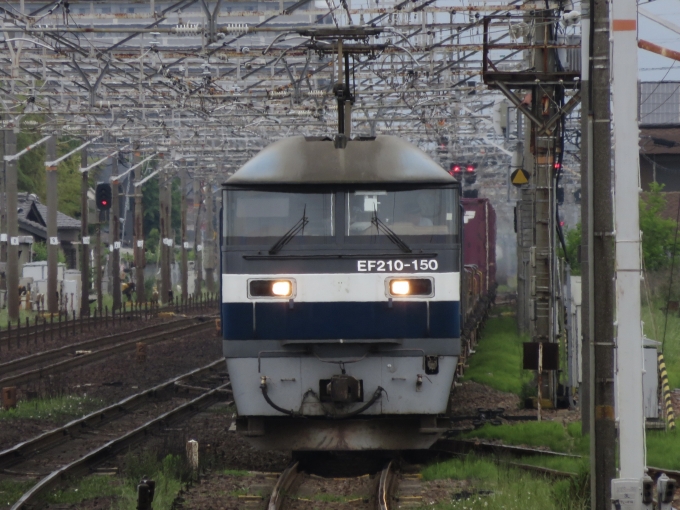 JR貨物 EF210形 EF210-150 鉄道フォト・写真 by ｻﾝﾁｮﾝﾁｮﾝ311-3さん 清洲駅：2024年05月19日14時ごろ