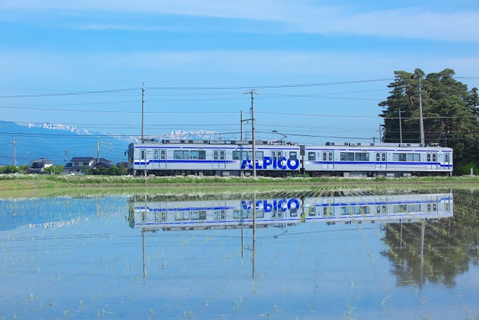アルピコ交通 鉄道フォト・写真 by shuさん 新村駅：2024年05月15日08時ごろ