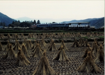 JR東日本 鉄道フォト・写真 by 二ヶ領用水の桜さん 小屋の畑駅：1999年10月10日00時ごろ