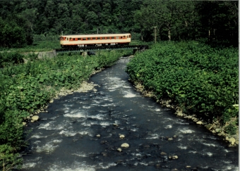 JR北海道 鉄道フォト・写真 by 二ヶ領用水の桜さん ：1994年06月12日00時ごろ