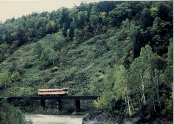 JR北海道 鉄道フォト・写真 by 二ヶ領用水の桜さん ：1994年10月09日00時ごろ