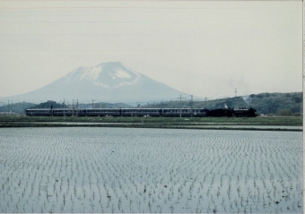 JR東日本 D51形 D51 498 鉄道フォト・写真 by 二ヶ領用水の桜さん 好摩駅 (JR)：1994年05月21日00時ごろ