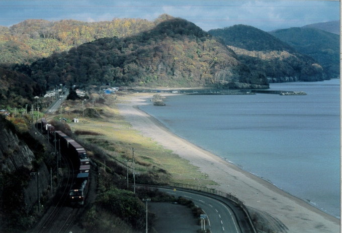 鉄道フォト・写真：JR貨物 DF200形ディーゼル機関車 大岸駅 鉄道フォト・写真 by 二ヶ領用水の桜さん - 撮影日 2021/10/29 00:00