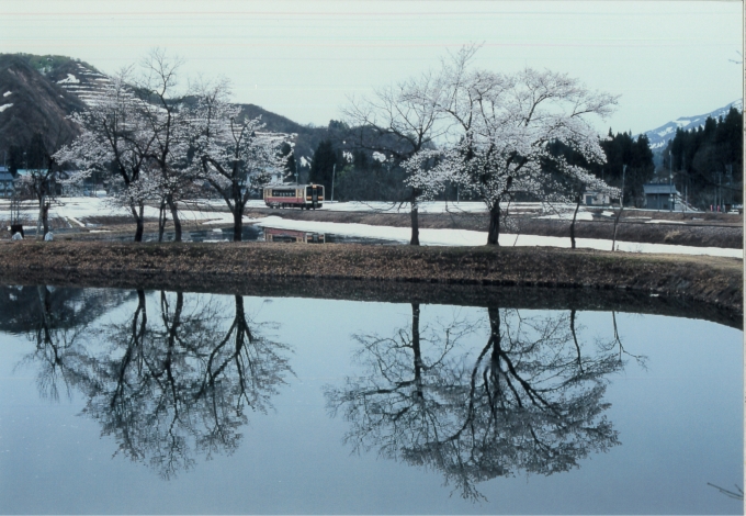 鉄道フォト・写真：JR東日本キハE120形気動車 上条駅 (新潟県) 鉄道フォト・写真 by 二ヶ領用水の桜さん - 撮影日 2023/04/14 16:40