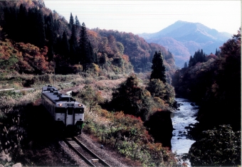 JR東日本 キハ40系気動車 キハ40形 鉄道フォト・写真 by 二ヶ領用水の桜さん 大白川駅：2010年11月07日00時ごろ