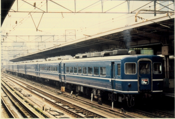 鉄道フォト・写真：国鉄14系客車 踊り子 東京駅 (JR) 鉄道フォト・写真 by 二ヶ領用水の桜さん - 撮影日 1986/08/31 00:00