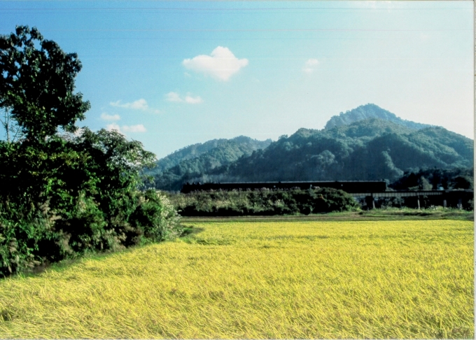 鉄道フォト・写真：真岡鐵道 国鉄C11形蒸気機関車 C11 325 会津蒲生駅 鉄道フォト・写真 by 二ヶ領用水の桜さん - 撮影日 2002/10/14 00:00