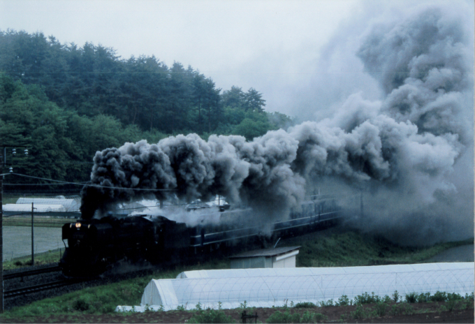 JR東日本 国鉄D51形蒸気機関車 SLやまなし号 D51 498 小淵沢駅 鉄道
